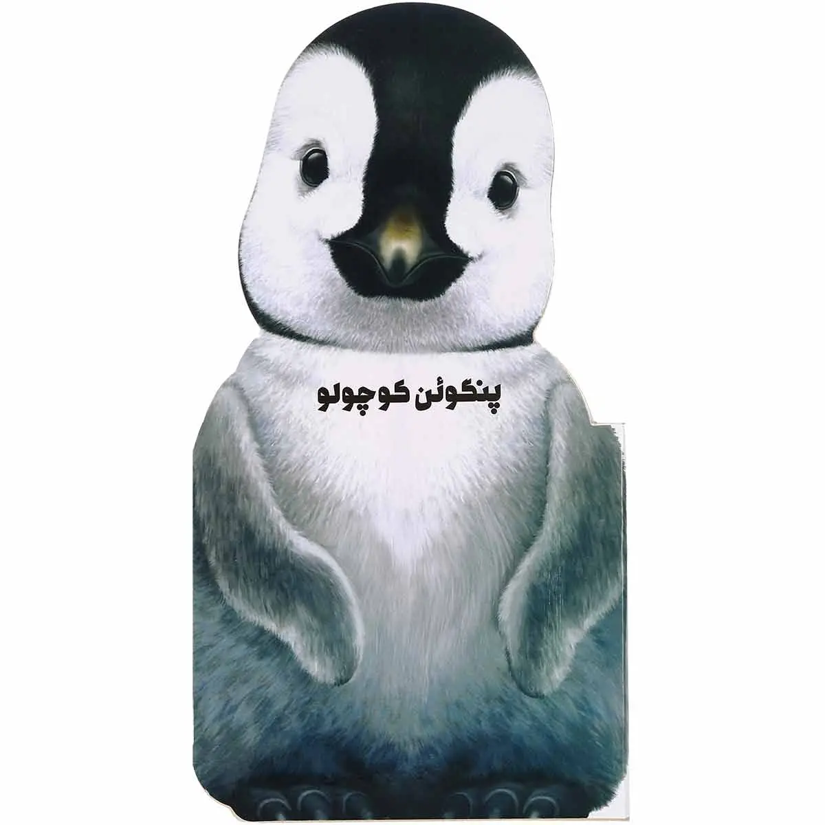 کتاب پنگوئن کوچولو مجموعه حیوانات کوچک اثر جیووانی کاویزل انتشارات گاج